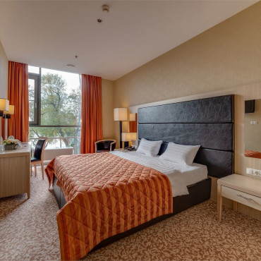 Номер "Стандарт Плюс с двуспальной кроватью"