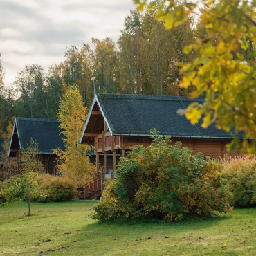 Коттедж "Янтарная линия"
