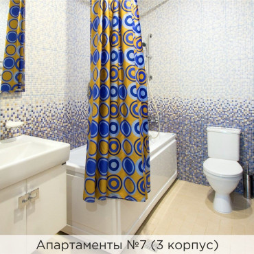 Номер "Апартаменты №7 (3 корпус)"