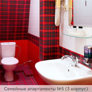 Номер "Апартаменты №5 (3 корпус)"