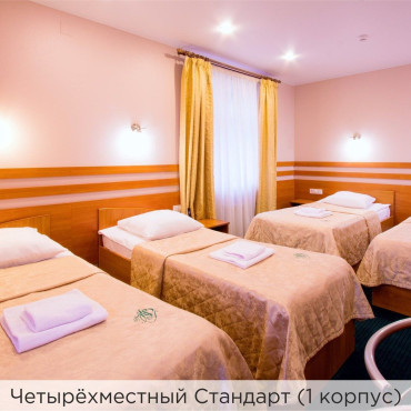 Номер "Стандарт четырехместный"