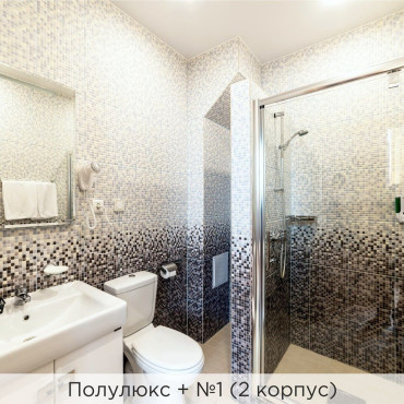 Номер "Полулюкс + (2 корпус)"