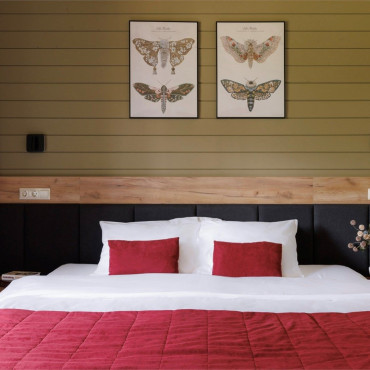 Номер "Комфорт с двуспальной кроватью, балконом и видом на лес"