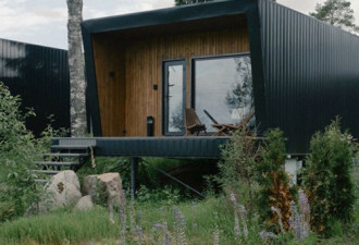 Лесной восход