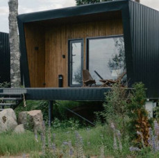 Лесной восход