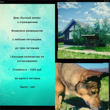 Коттедж "«Лунный залив для двоих» 42м2 с купелью под открытым небом"