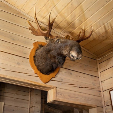 Коттедж "Президентский дом"