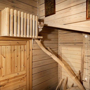 Коттедж "Президентский дом"