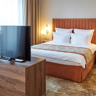 Номер "Полулюкс с террасой | Вид на Неву"