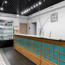 Станция Премьер S12