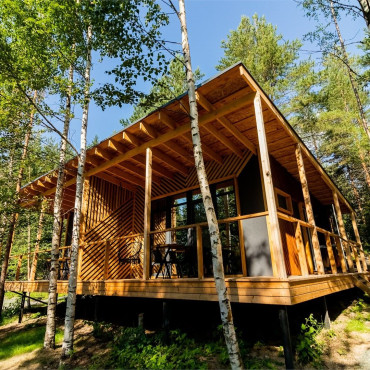 Номер "Номер «Березовая роща»"