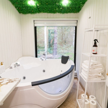 Номер "Номер с джакузи «Могучая ель»"