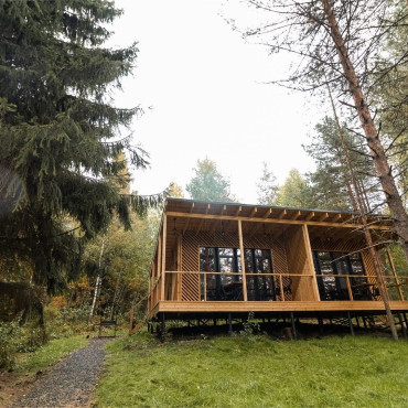 Номер "Номер с джакузи «Могучая ель»"