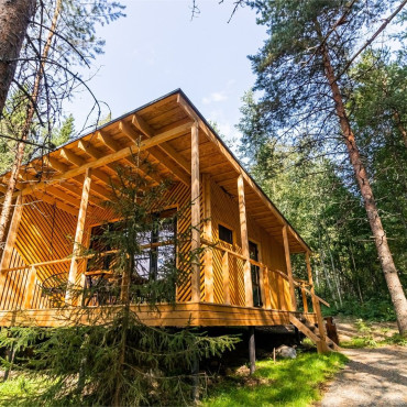 Номер "Номер «Сосновый бор»"