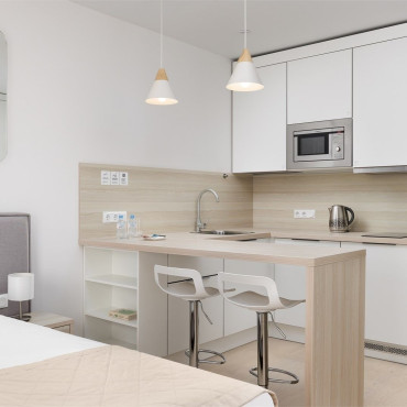 Аппартаменты "Стандарт (двухместный, однокомнатный номер)"