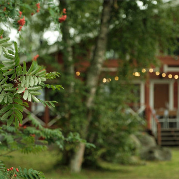 Коттедж "Золотая линия"