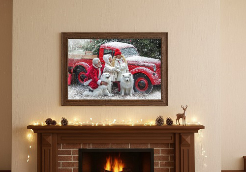 Фотосессия в зоофотостудии в Москве