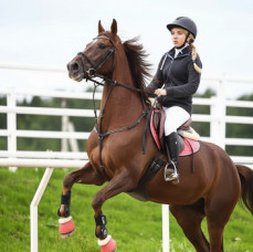 Фотосессия с лошадьми в Москве