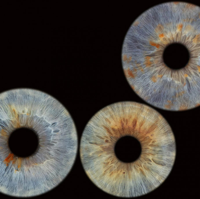 Семейное фото радужки глаз в Балашихе (в Москве)