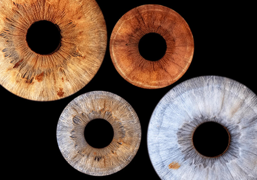 Семейное фото радужки глаз в Балашихе (в Москве)