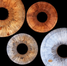 Семейное фото радужки глаз в Балашихе (в Москве)