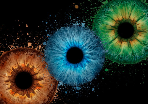 Семейное фото радужки глаз в Балашихе (в Москве)