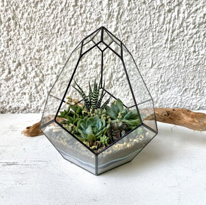 Мастер класс по созданию флорариума в Москве