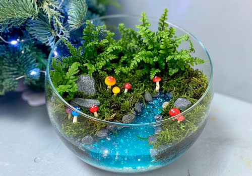 Мастер класс по созданию флорариума в Москве