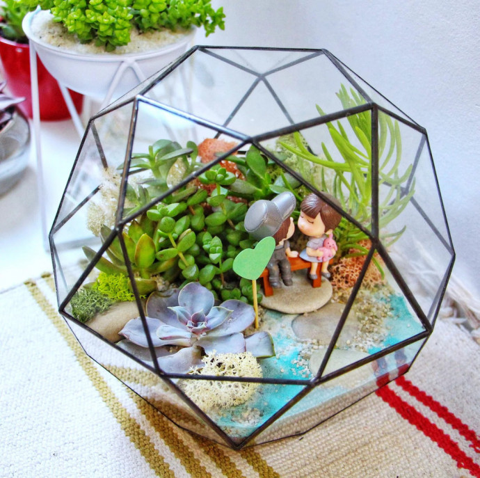 Мастер-класс для двоих Домашняя оранжерея в Москве