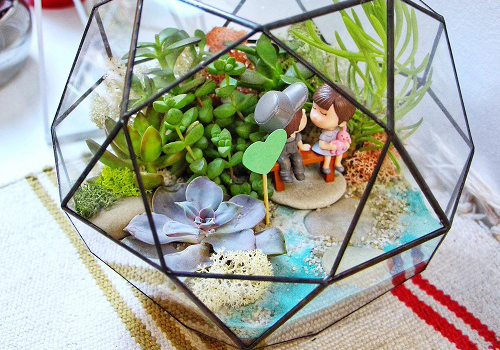 Мастер-класс для двоих Домашняя оранжерея в Москве