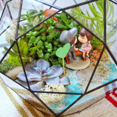 Мастер-класс для двоих Домашняя оранжерея в Москве