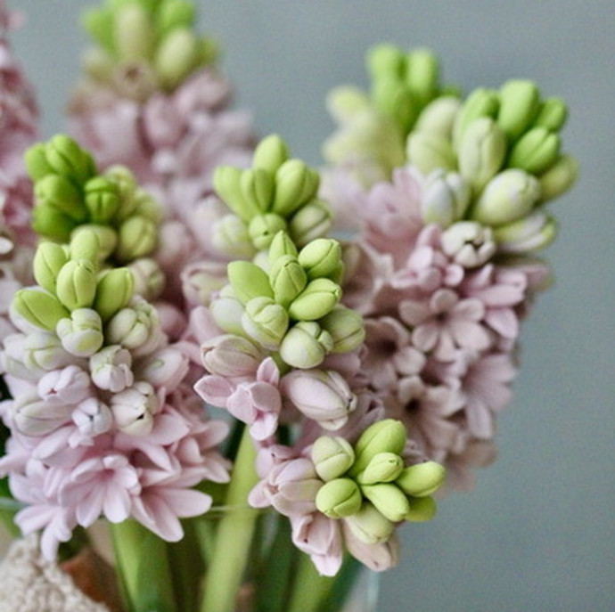 Мастер-класс по лепке из японской зефирной глины Гиацинт в Москве