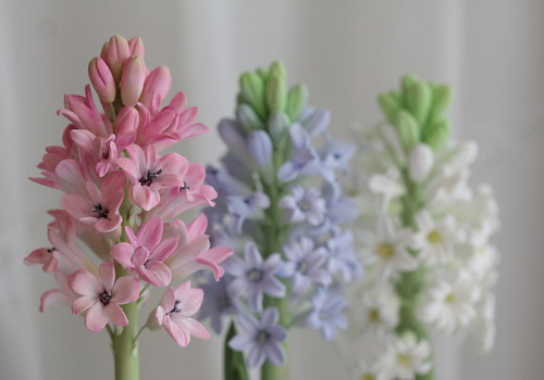 Мастер-класс по лепке из японской зефирной глины Гиацинт в Москве