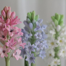 Мастер-класс по лепке из японской зефирной глины Гиацинт в Москве