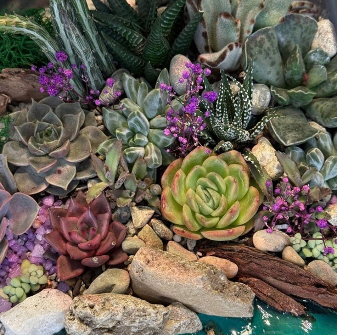 Мастер класс создание флорариума в Москве