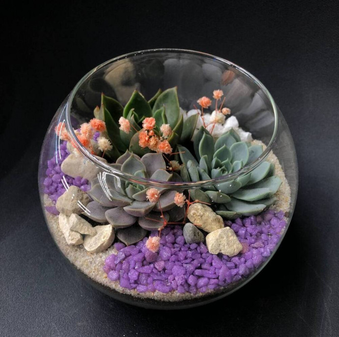 Мастер класс создание флорариума в Москве