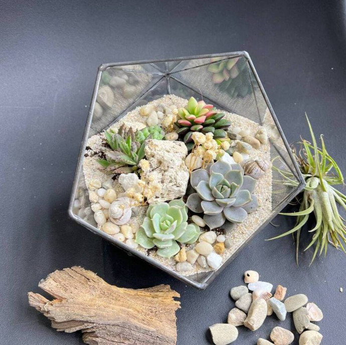 Мастер класс создание флорариума в Москве