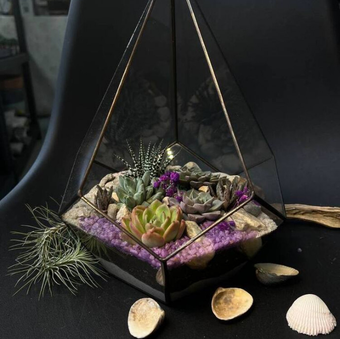 Мастер класс создание флорариума в Москве