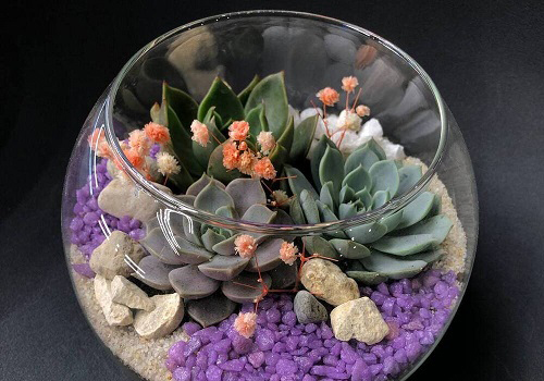 Мастер класс создание флорариума в Москве