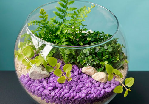 Мастер класс создание флорариума в Москве