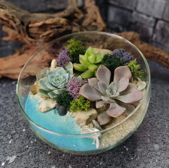 Мастер-класс Флорариум с суккулентами в Москве