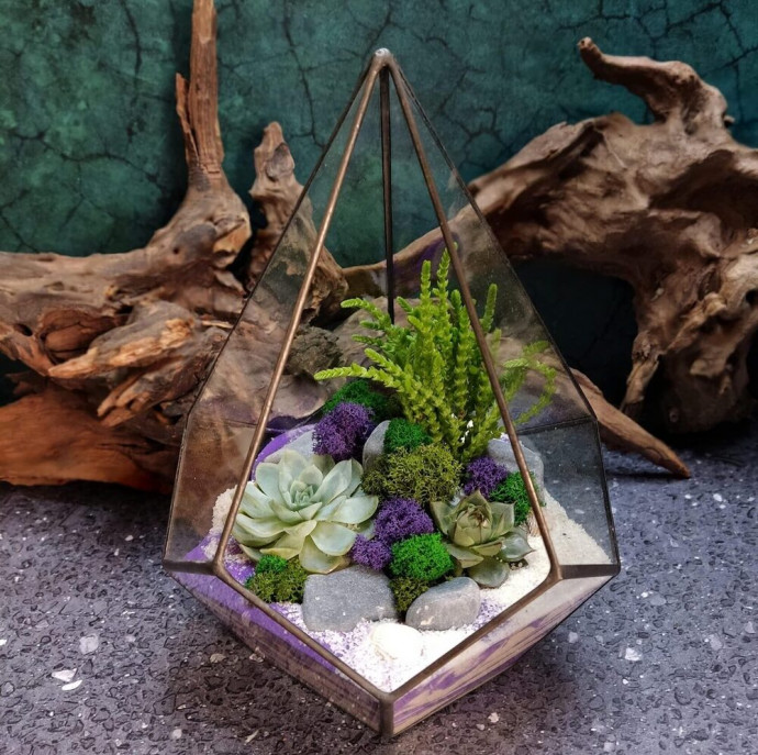 Мастер-класс Флорариум с суккулентами в Москве