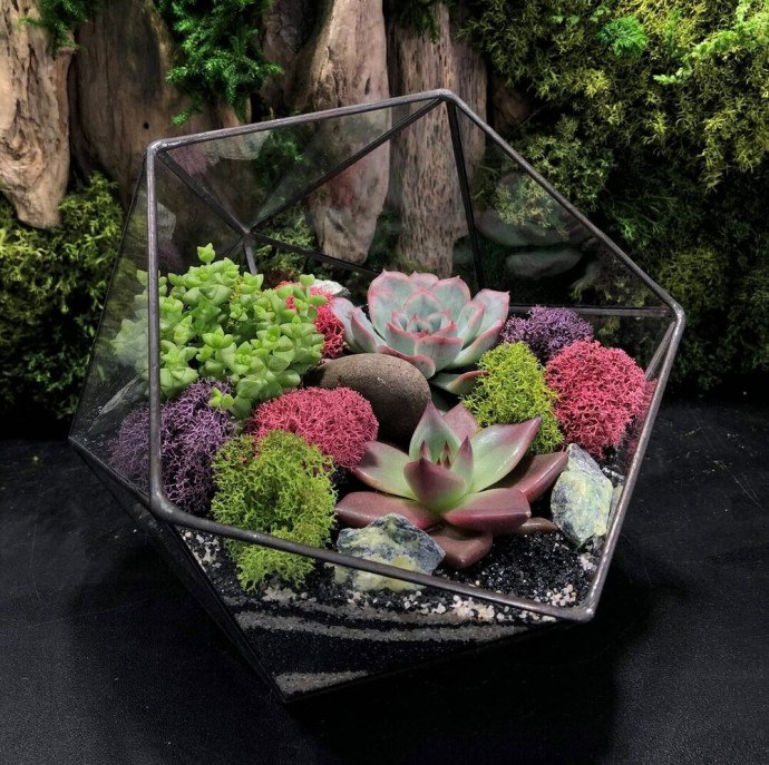 Мастер-класс Флорариум с суккулентами в Москве