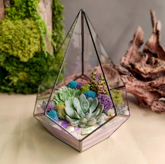 Мастер-класс Флорариум с суккулентами в Москве