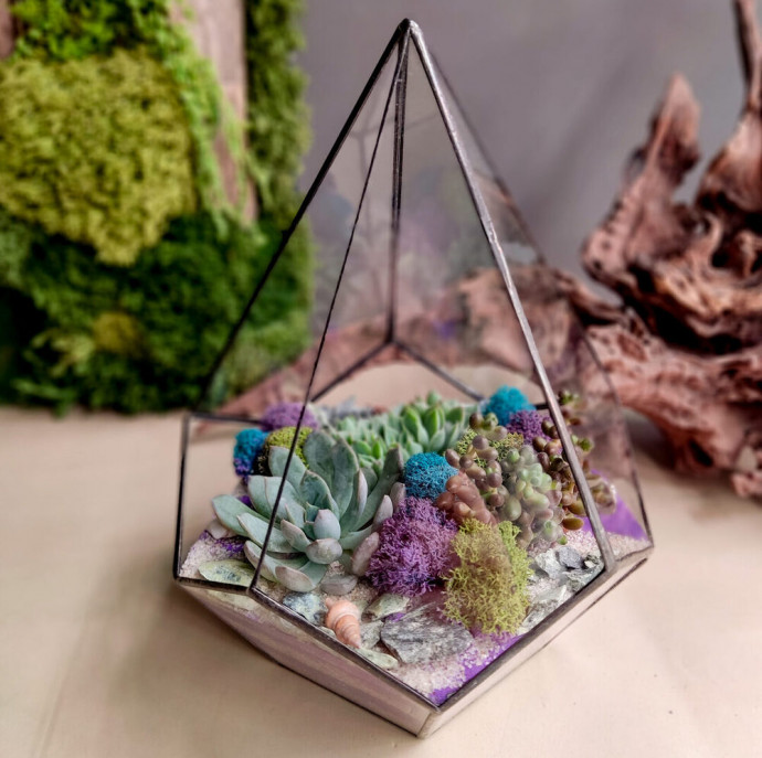 Мастер-класс Флорариум с суккулентами в Москве