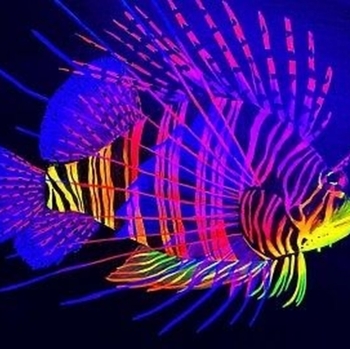 Романтическое свидание Мастер-класс Рисуем в темноте в Москве