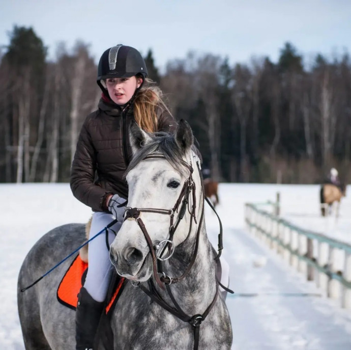 Индивидуальное занятие по верховой езде в Москве