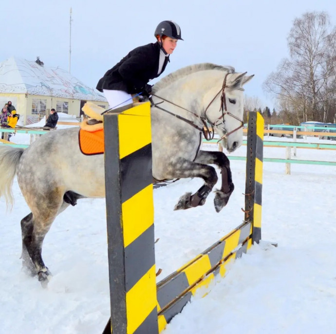 Индивидуальное занятие по верховой езде в Москве