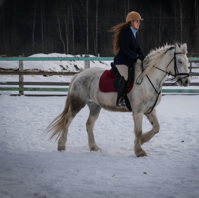 Индивидуальное занятие по верховой езде в Москве