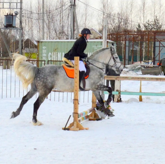 Индивидуальное занятие по верховой езде в Москве
